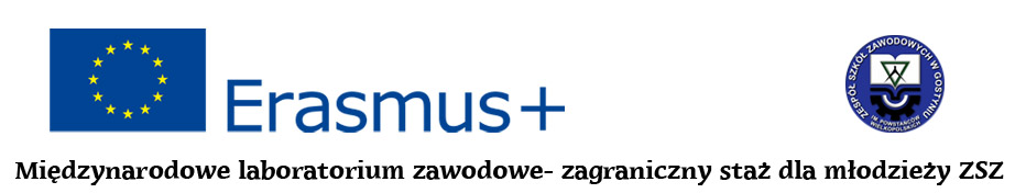Zespół Szkół Zawodowych im. Powstańców Wielkopolskich w Gostyniu